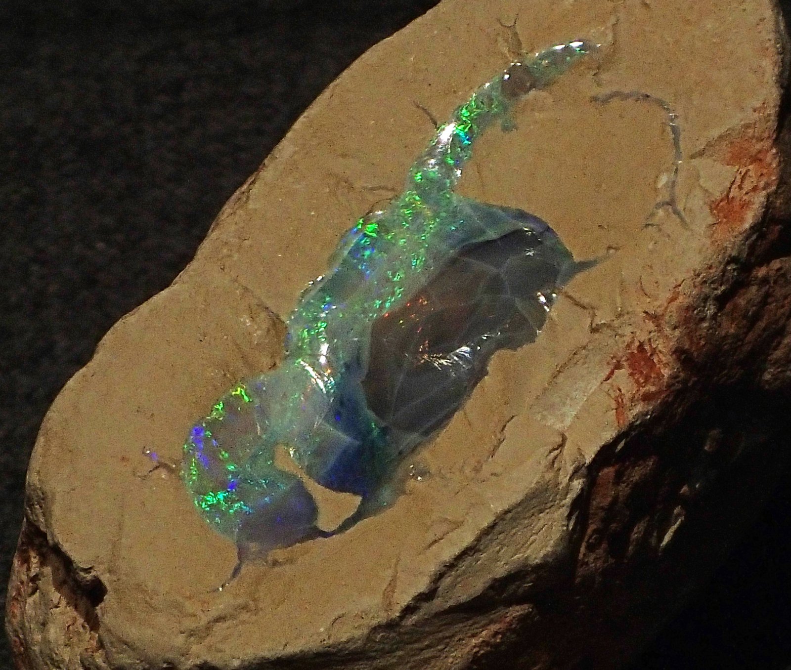 Matrix Opal