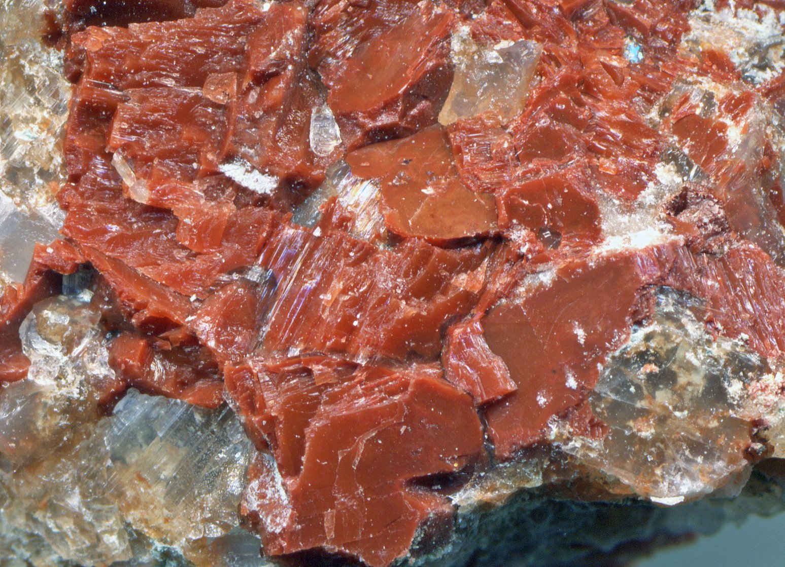 Sylvite