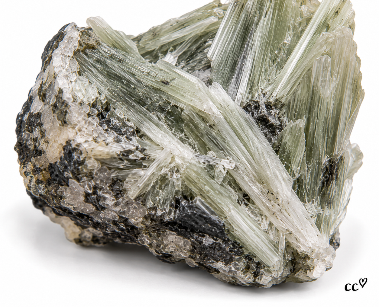 Tremolite (specimen; disclose asbestiform risk) specimen